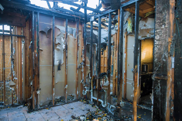 Professional Fire Damage Removal technician working in Goose Creek Village, VA